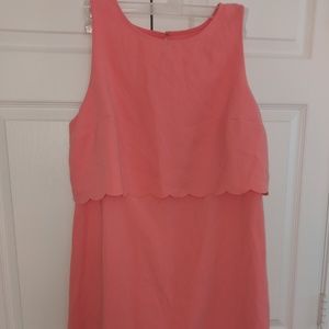 Loft Scalloped Illusion Dress